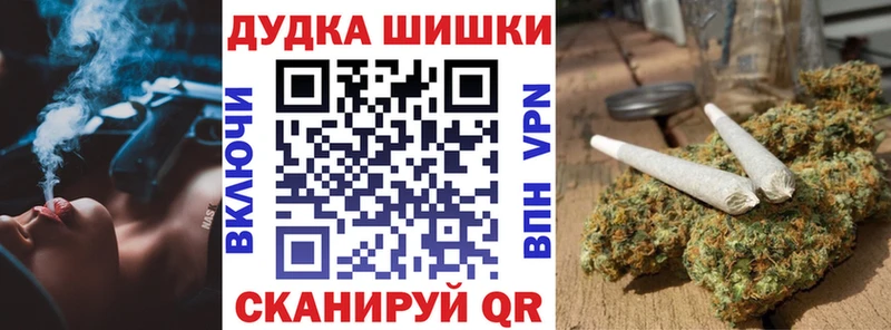 Конопля сатива Купить где Андреаполь